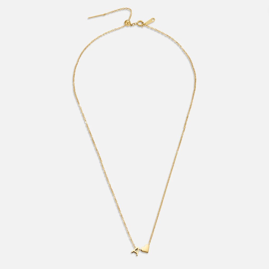 Collar de Oro Eterno